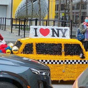 Meet your Posher, Patty